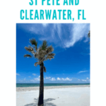 The Best Beaches In St. Petersburg and Clearwater, FL