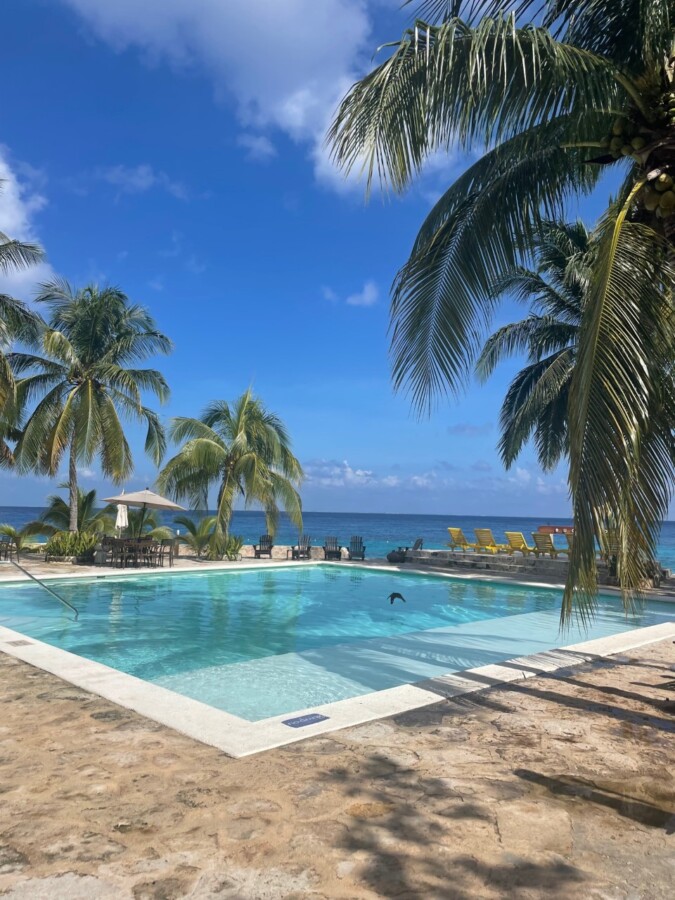 The Best Cozumel Beach Clubs