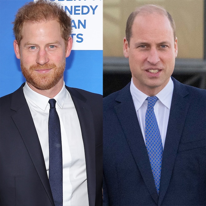 Prince Harry Says Diana Would Be “Sad” About Relationship With William